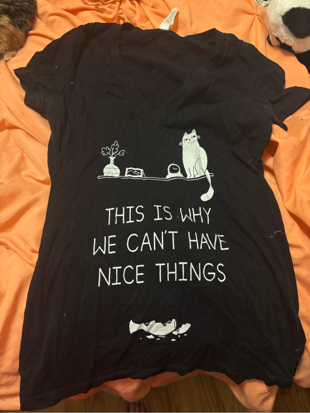 Bella Canvas Cat Black Tee “This Is Why We Can’t Have Nice Things”